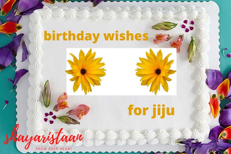 birthday wishes for jiju