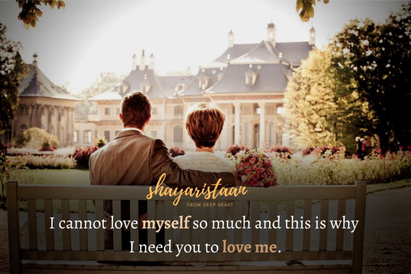  ishq shayari in hindi | I cannot love myself so much and this is why  I need you to love me.