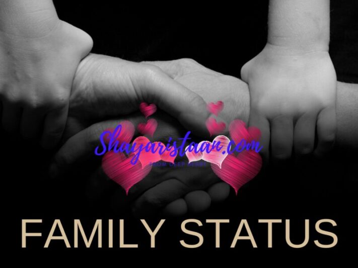 family status