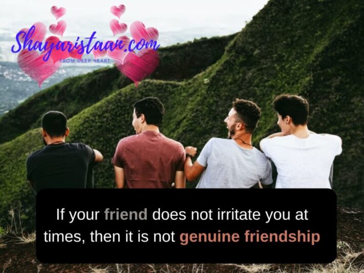 best friend quotes in English | If your friend does not irritate you at times, then it is not genuine friendship