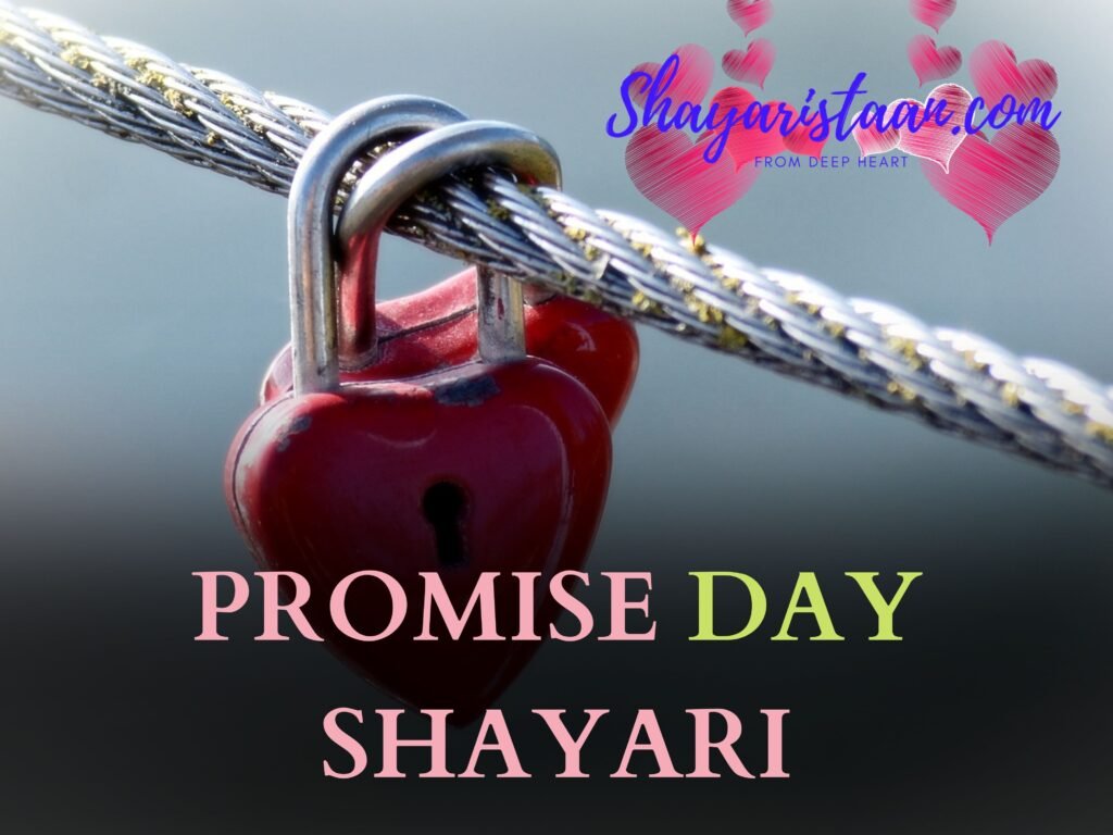 promise day shayari