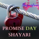 promise day shayari