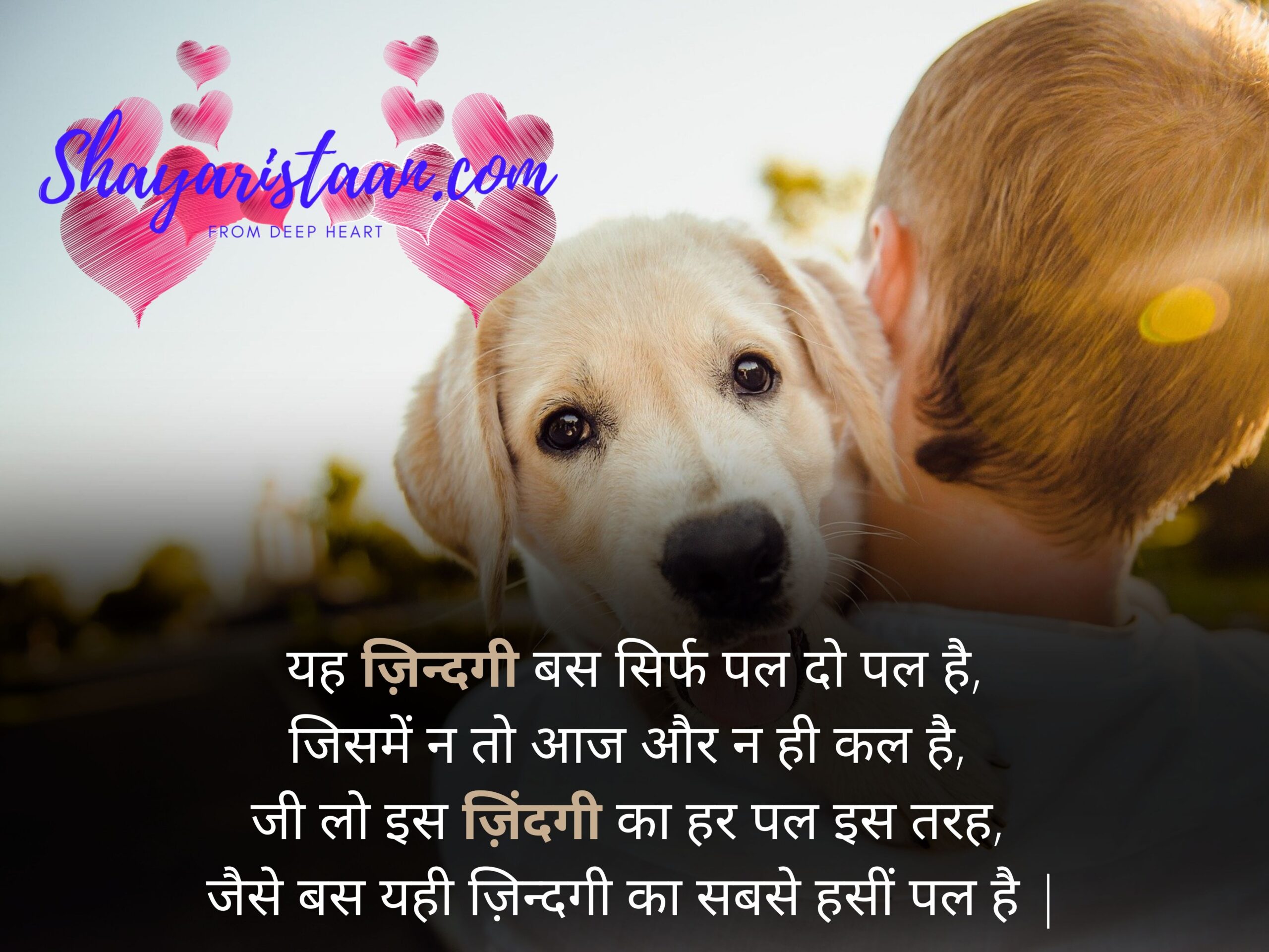life shayari in hindi | यह ज़िन्दगी बस सिर्फ पल दो पल है, जिसमें न तो आज और न ही कल है,  जी लो इस ज़िंदगी का हर पल इस तरह,  जैसे बस यही ज़िन्दगी का सबसे हसीं पल है |