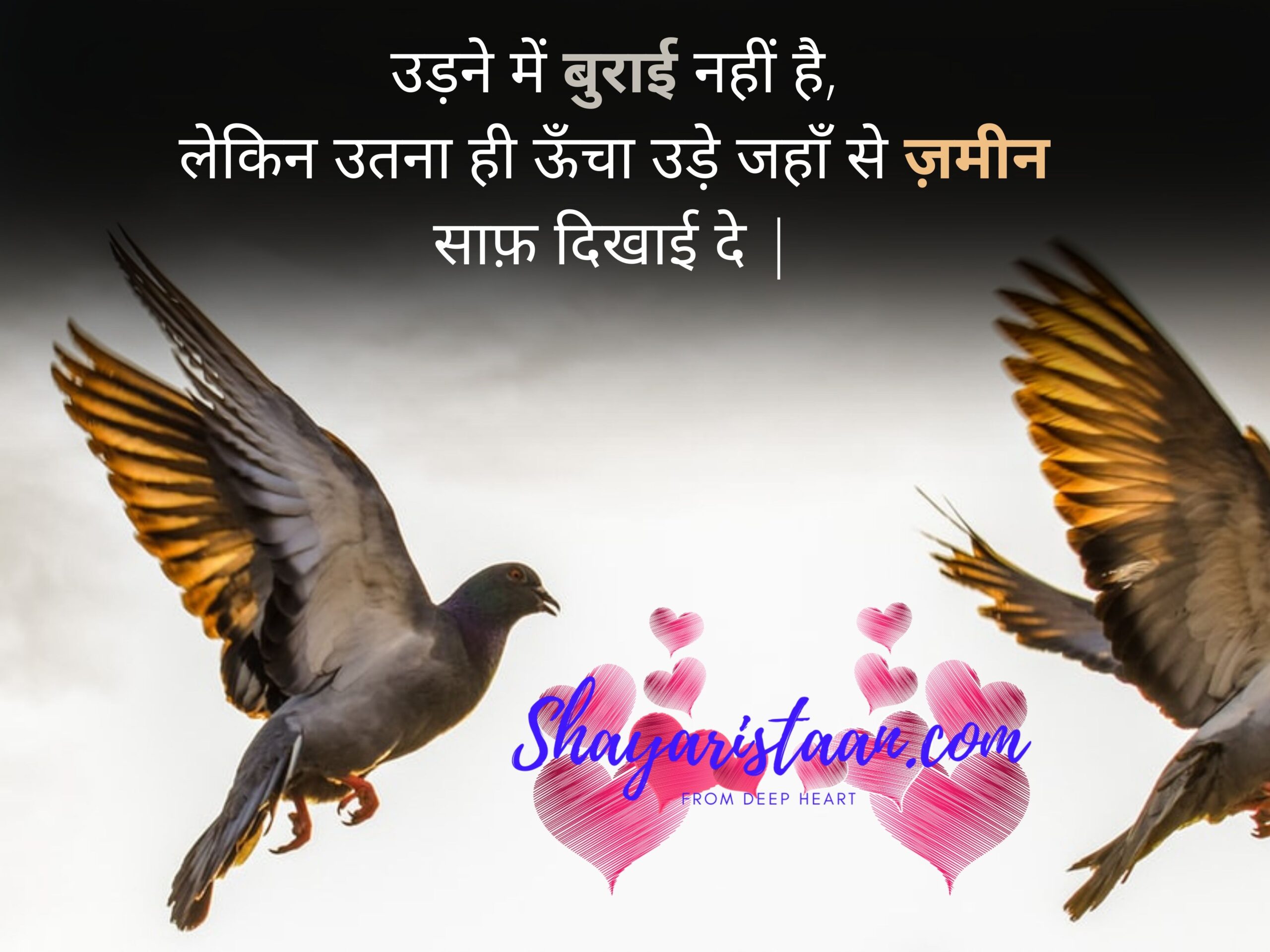  best whatsapp about | उड़ने में बुराई नहीं है, लेकिन उतना ही ऊँचा उड़े जहाँ से ज़मीन साफ़ दिखाई दे |