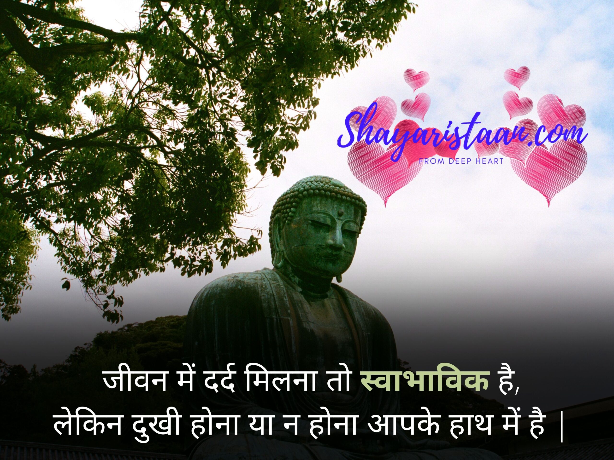  gautam buddha quotes in hindi | जीवन में दर्द मिलना तो स्वाभाविक है, लेकिन दुखी होना या न होना आपके हाथ में है