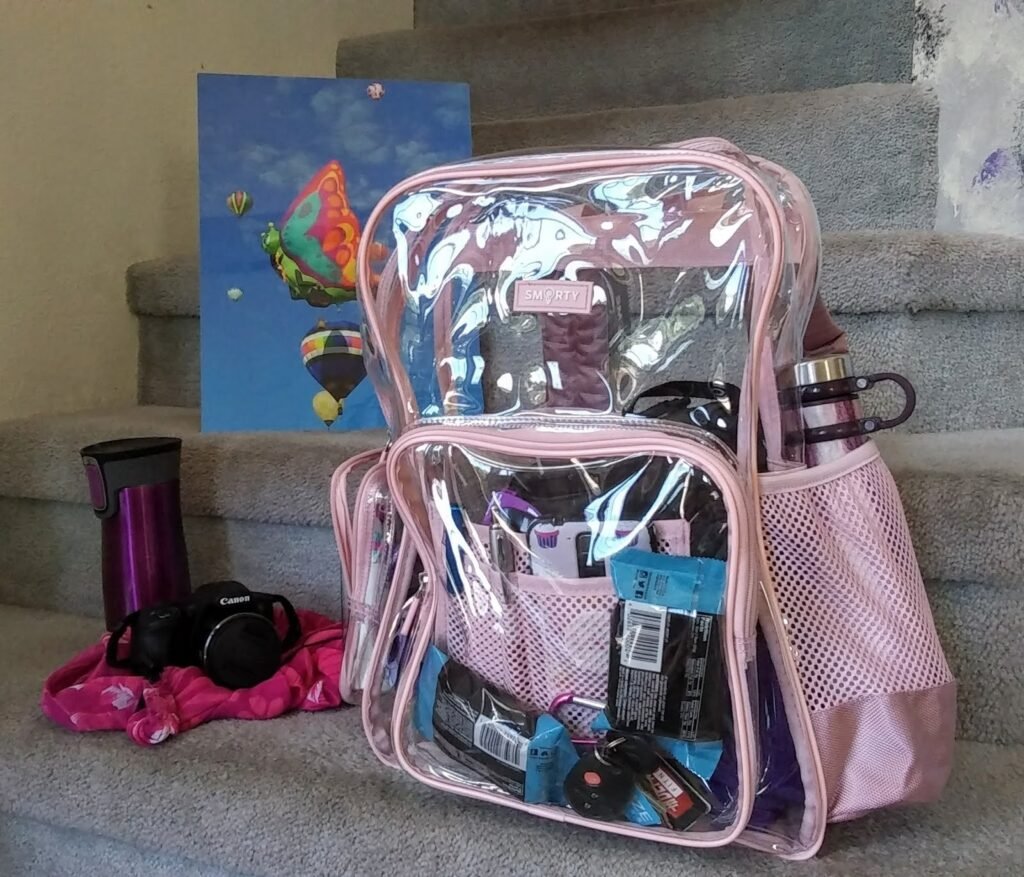 clear mini backpack
