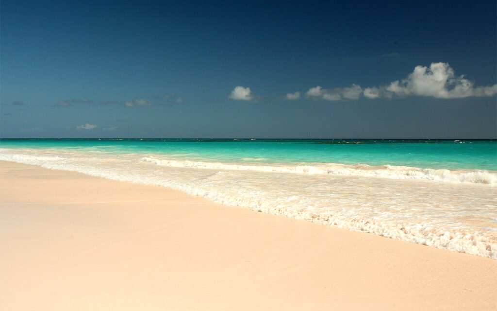 Best Places to Dive on Harbour Island Bahamas