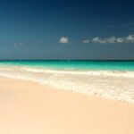 Best Places to Dive on Harbour Island Bahamas