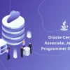 Benefits Of Oracle Certifications Exam 1z0-1073-22 Questions Dumps