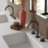 Faucet Trends