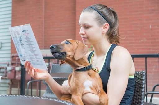 Check Ratings and Reviews